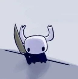 Cursed Hollow Knight Images
