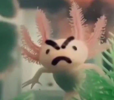 cursed axolotl images