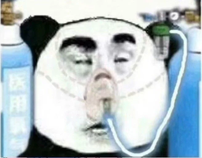 cursed panda images