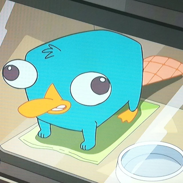 cursed perry the platypus images
