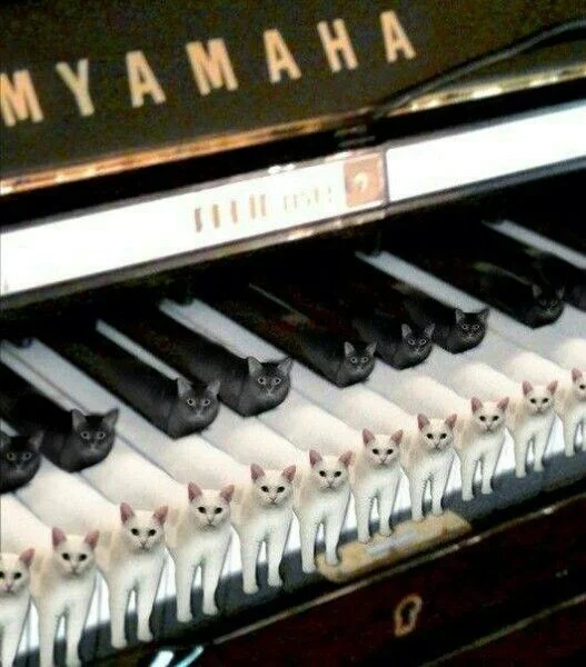 cursed piano images