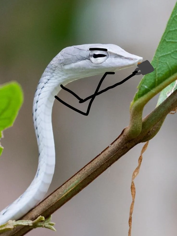 cursed snake images