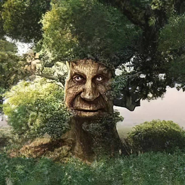 cursed tree images